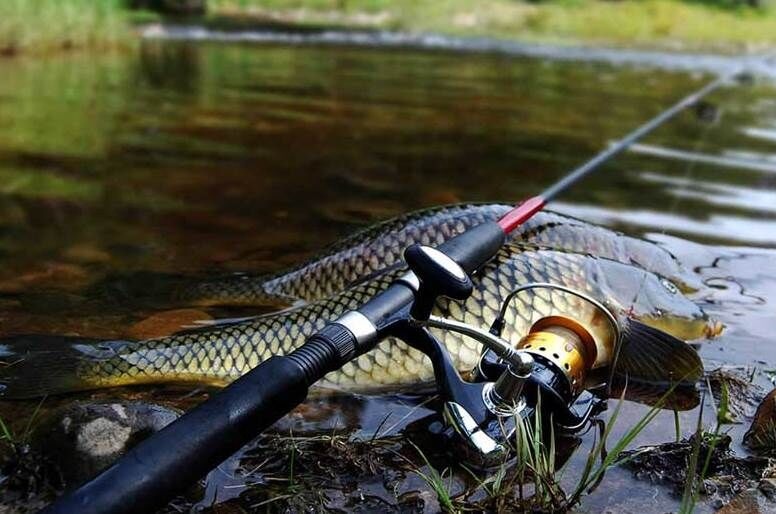 Рыболовный магазин в крупном ТЦ