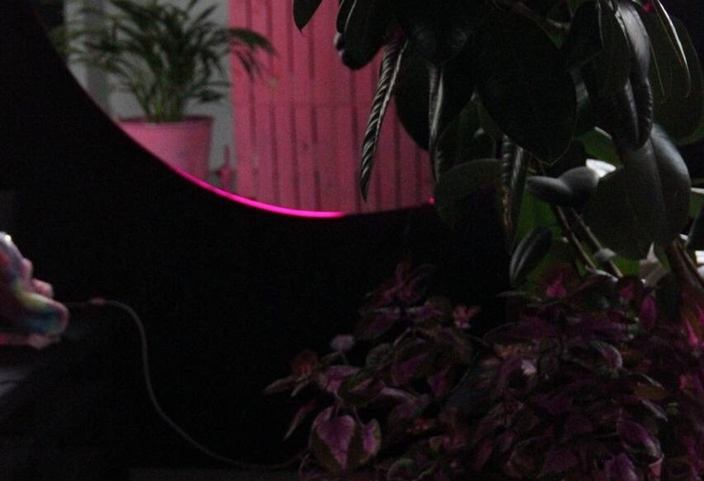 Уютная студия красоты в г. Гродно