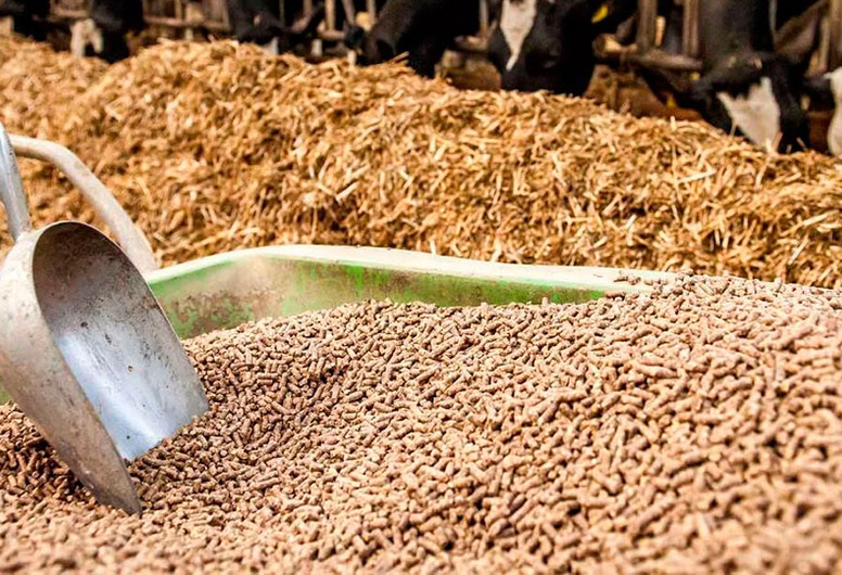 Готовое ООО - выращивание кормов культуры