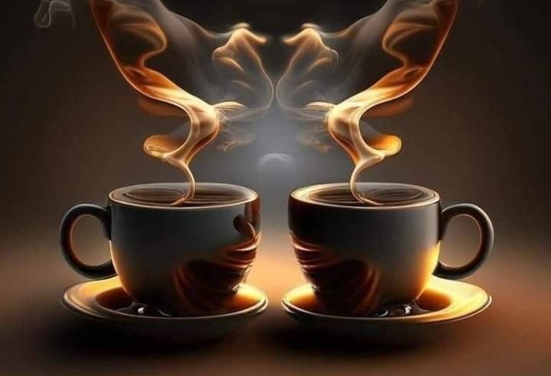 Сеть тренажерный залов в г. Москва