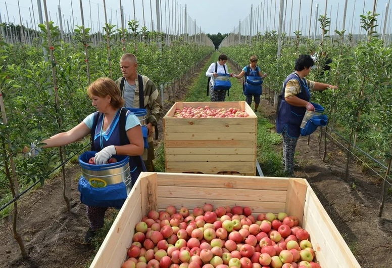 Высокорентабельное сельскохозяйственное предприятие в Республике Беларусь