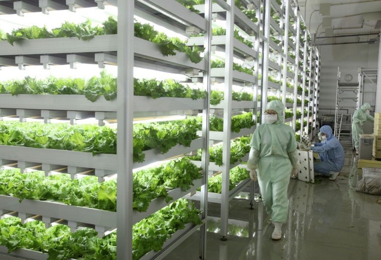 Продается высокотехнологичное сельскохозяйственное производство под Гродно.