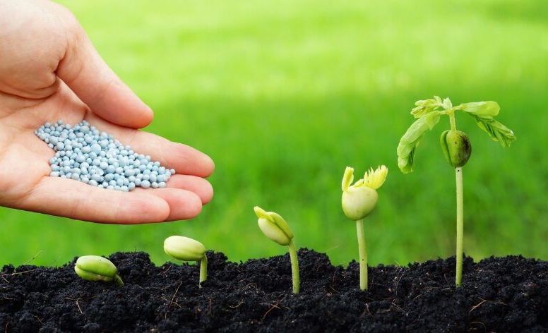 Продажа удобрений через WB.