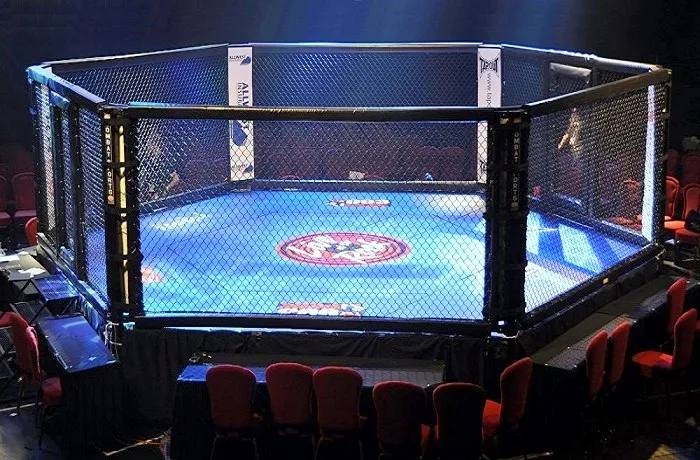 Профессиональная лига кулачных боев