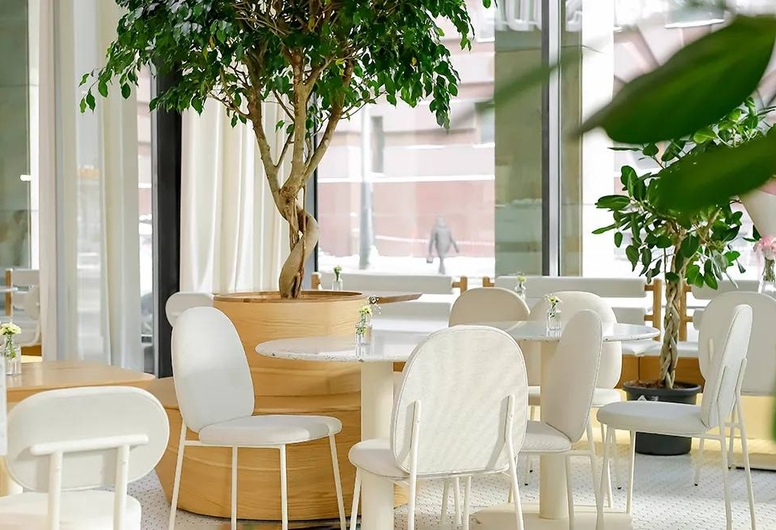 Высокодоходная кофейня с подтвержденной прибылью