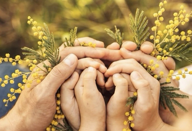 Универсальное Семейное АРТ-пространство (Зеленый Луг)