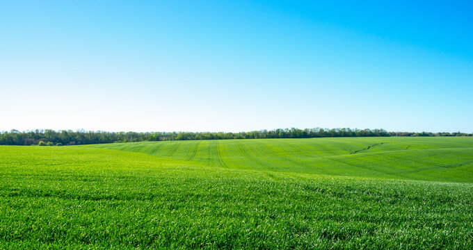 Продается ООО с собственной землей в 40 соток в хорошей локации и бизнес-планом по организации базы отдыха.