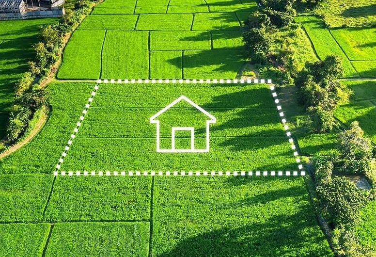 Продается ООО с собственной землей в 40 соток в хорошей локации и бизнес-планом по организации базы отдыха.